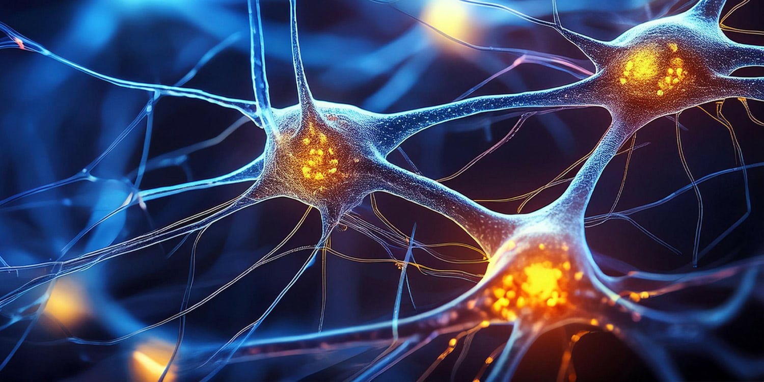 Cztery tanie suplementy zmieniły mózgi myszy z autyzmem