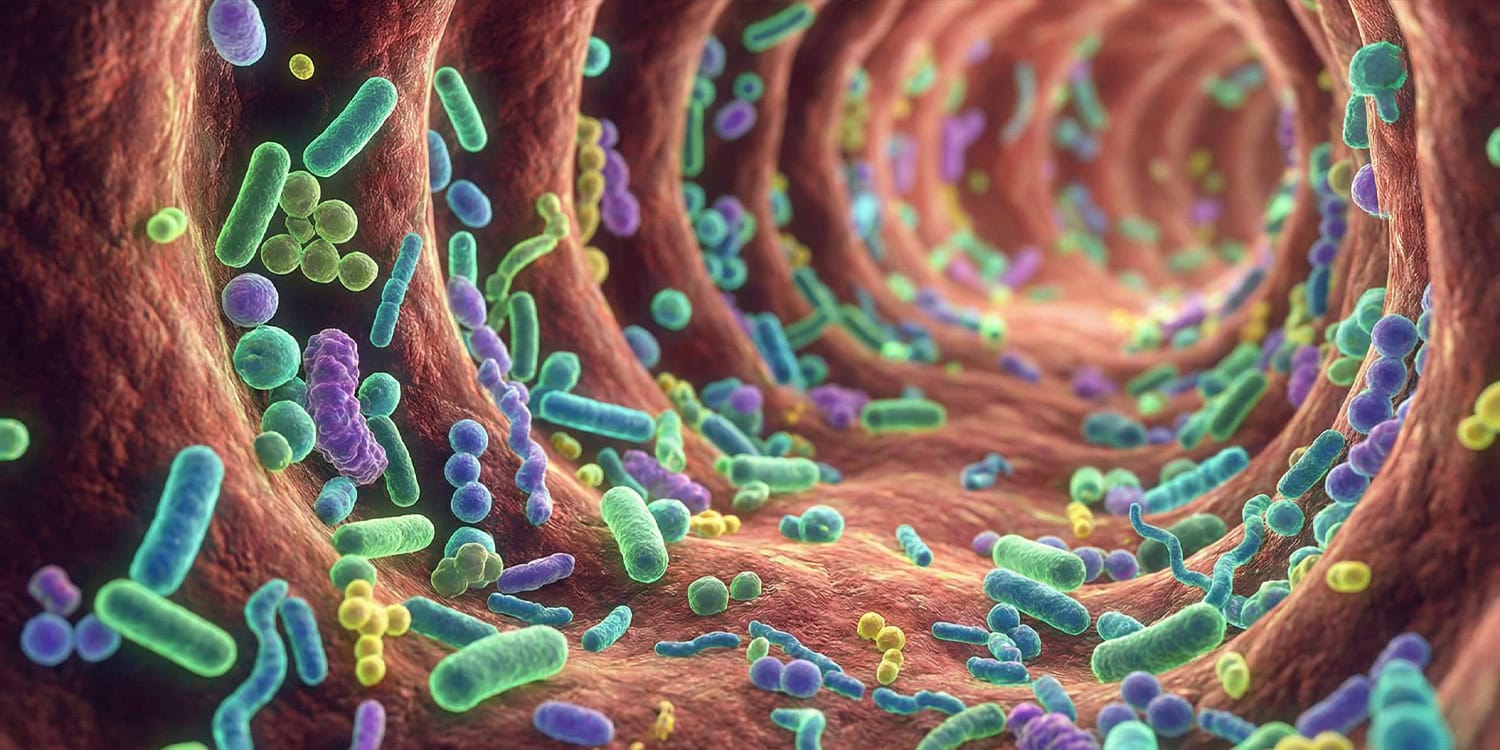 Sól niszczy pamięć przez jelita. Nowy szlak żołądek-mózg