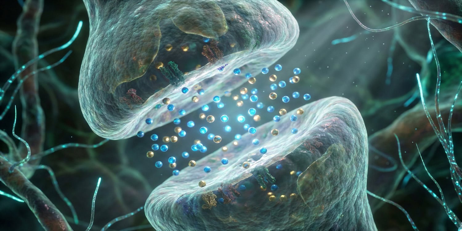 Ayahuasca resetuje mózg po traumie. Naukowcy wiedzą jak