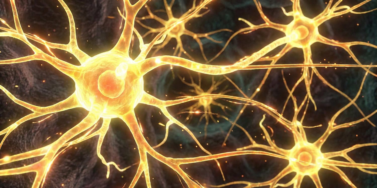 Twój mózg przewiduje przyszłość. Naukowcy właśnie zobaczyli jak