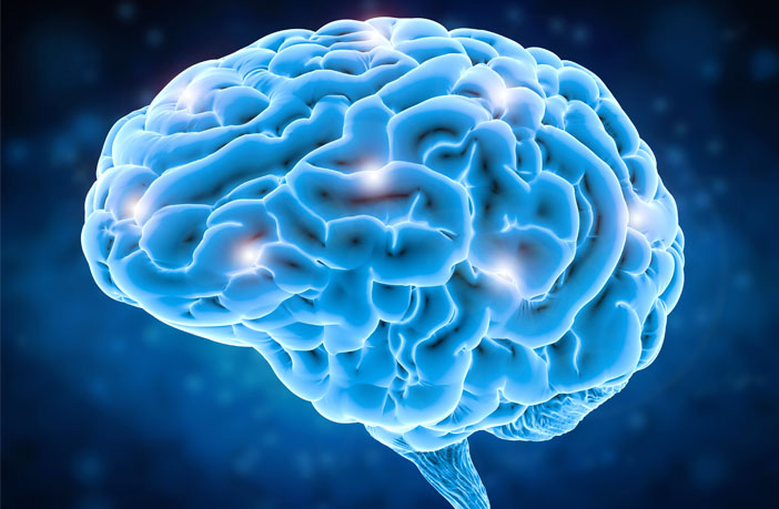 Parówki i cukier w wieku 2 lat. Badacze sprawdzili IQ tych dzieci